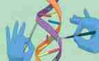 科学活动教案模板优秀7篇