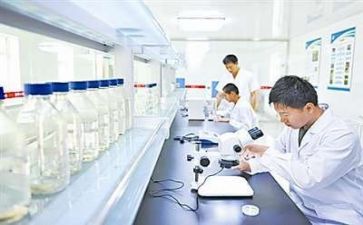 科研方面个人总结7篇