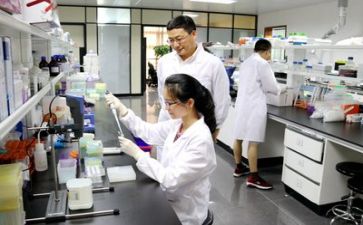 科研个人总结精选5篇