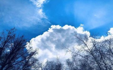 空气的污染调查报告推荐6篇