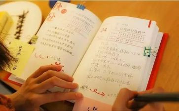 教师的苦与乐演讲稿8篇