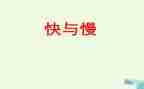 快与慢教学反思教学反思5篇