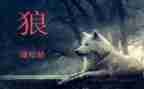 《狼》的读后感600字参考5篇