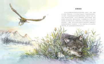 看《狼王梦》读后感400字推荐6篇