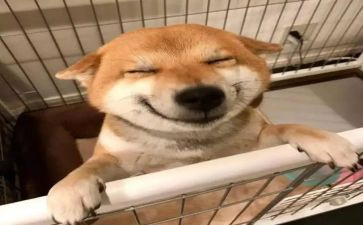 音乐社年度总结7篇