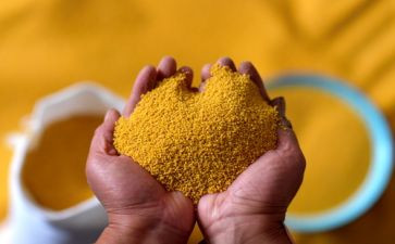 粮食幼儿教案8篇