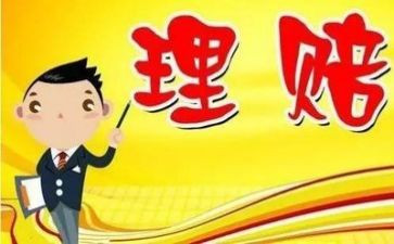 理赔员述职报告范文8篇
