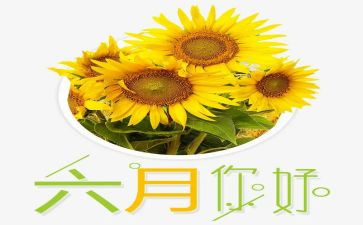 六月幼儿园工作总结6篇