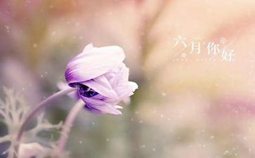 2024年幼儿园六月份工作总结5篇