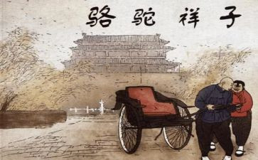 骆驼翔子读后感5篇