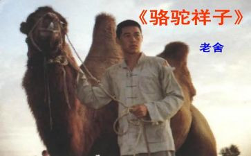 骆驼翔子读后感优秀6篇