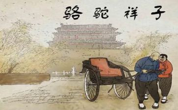 骆驼翔子读后感参考5篇