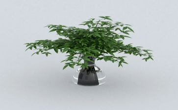 绿化工个人年度总结模板8篇