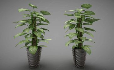 物业小区绿化年工作计划6篇