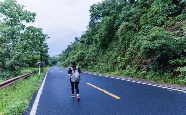 旅行类的作文模板7篇
