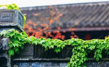 慢地震活动总结模板5篇