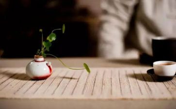 慢蜗牛作文模板7篇