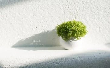 慢就业调研报告5篇