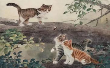 我想看关于猫的作文精选8篇