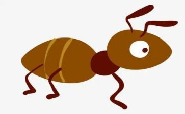 蚂蚁活动教案8篇