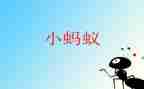 科学课蚂蚁教案7篇