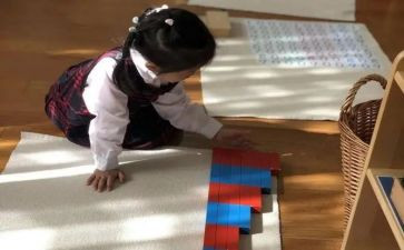 幼儿园蒙氏教研工作总结优质5篇