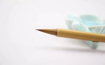 《书迷》作文6篇