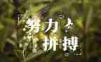 名人故事的心得6篇