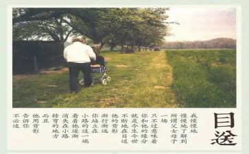 龙应台的目送的读后感5篇