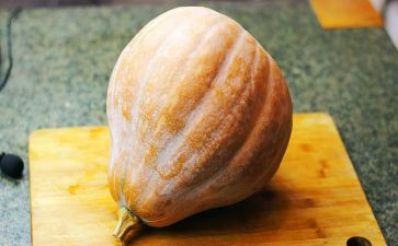 南瓜汤的教案8篇