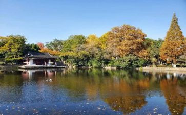 观南京南京活动总结5篇
