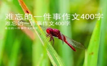 搜难忘的一件事的作文参考6篇