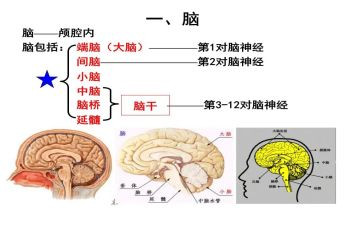 电脑及耗材采购合同5篇