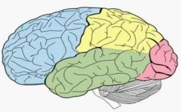 电脑端工作计划8篇