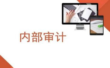 局内审工作总结6篇