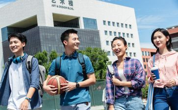 2024年少年队工作计划参考8篇