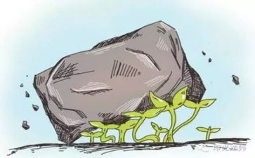 在逆境中成长演讲稿7篇