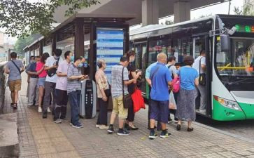 《排队》教案7篇