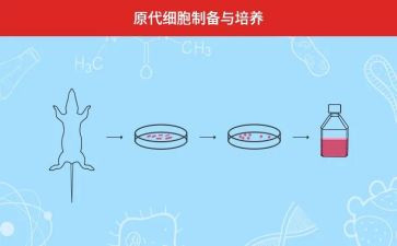 幼儿园小班常规培养工作计划7篇
