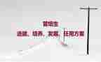 培养方案策划书模板8篇
