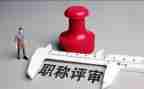 评高级资称要个人工作总结6篇