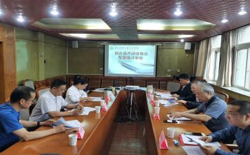 评审会领导讲话稿7篇