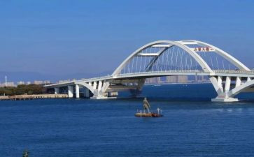 生命桥读后感模板7篇