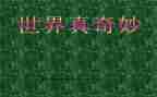 奇奇妙妙的人作文参考6篇