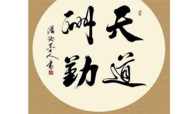 保险公司内勤年终总结8篇