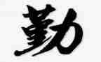 内勤在公司的工作计划7篇