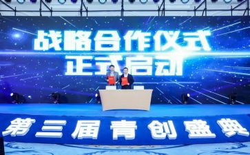 乡村青创心得体会精选5篇