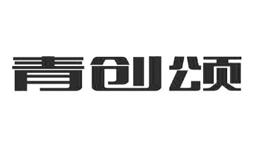 乡村青创心得体会通用7篇