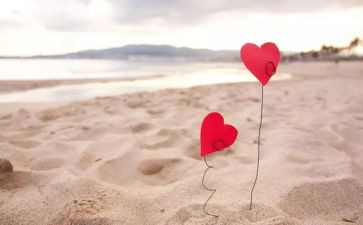 亲情感恩类作文最新8篇