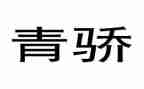 青骄第二课堂活动总结精选7篇